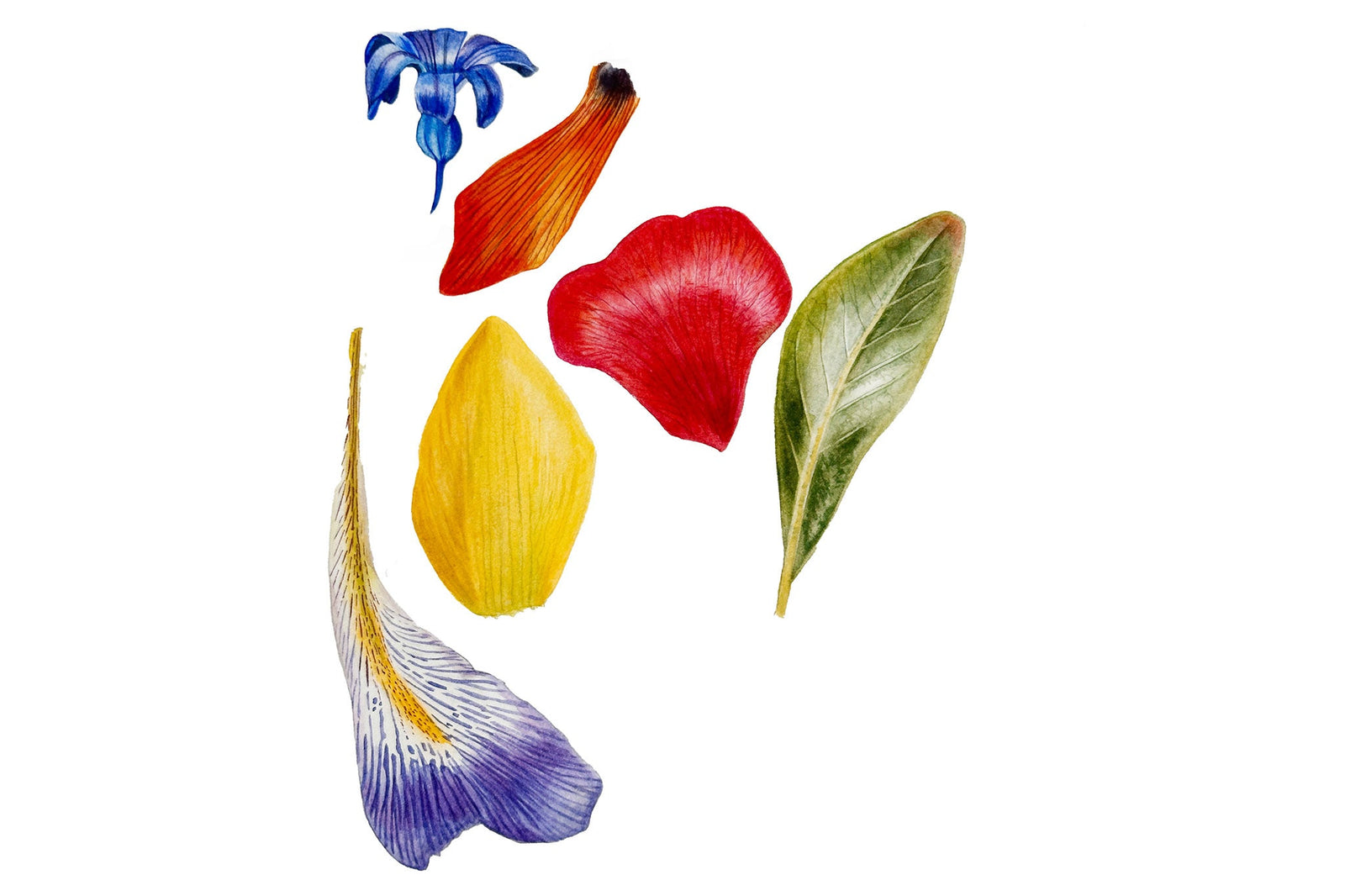 Complimentary Colours : Part 2