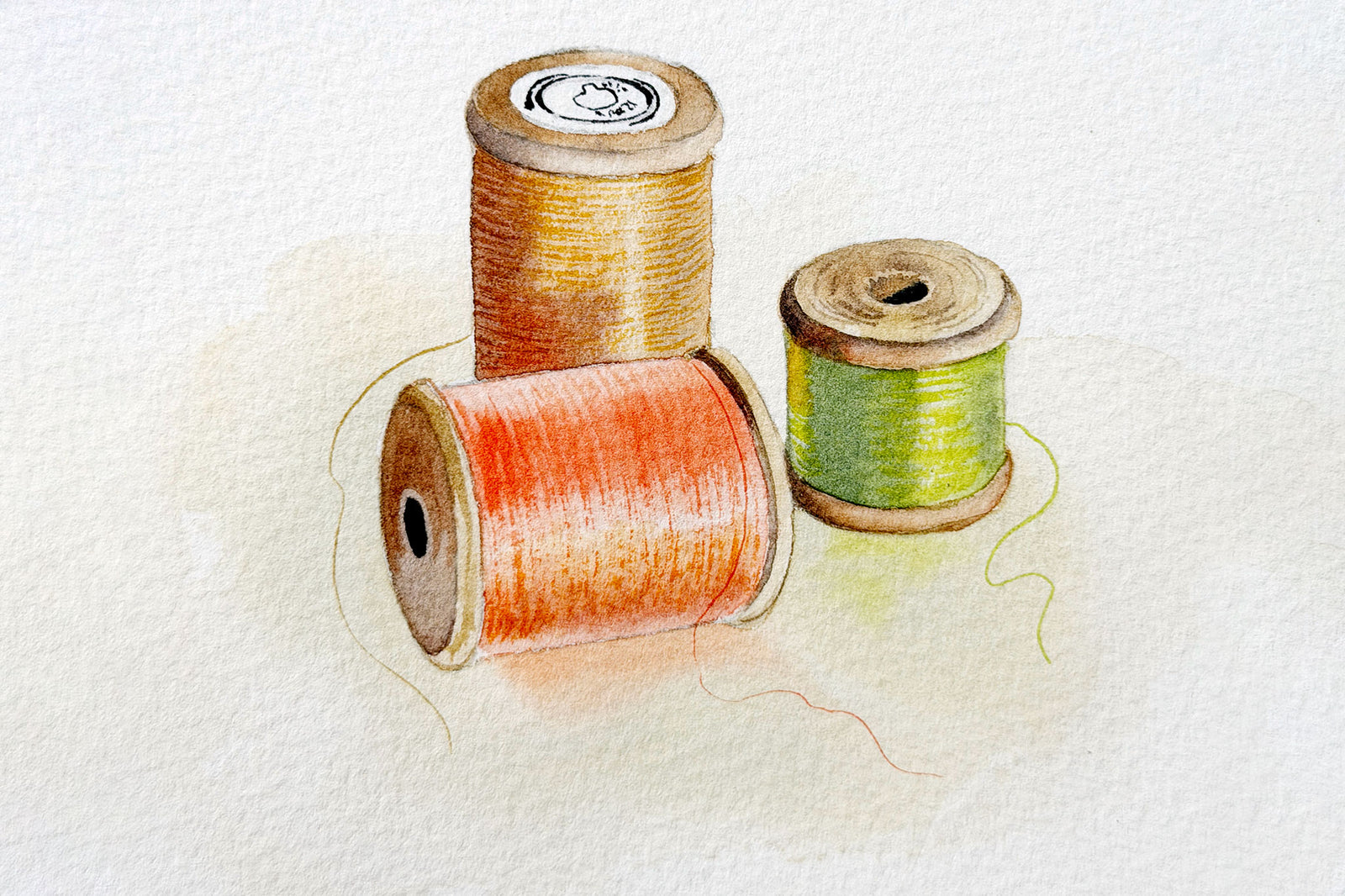 Cotton Reels
