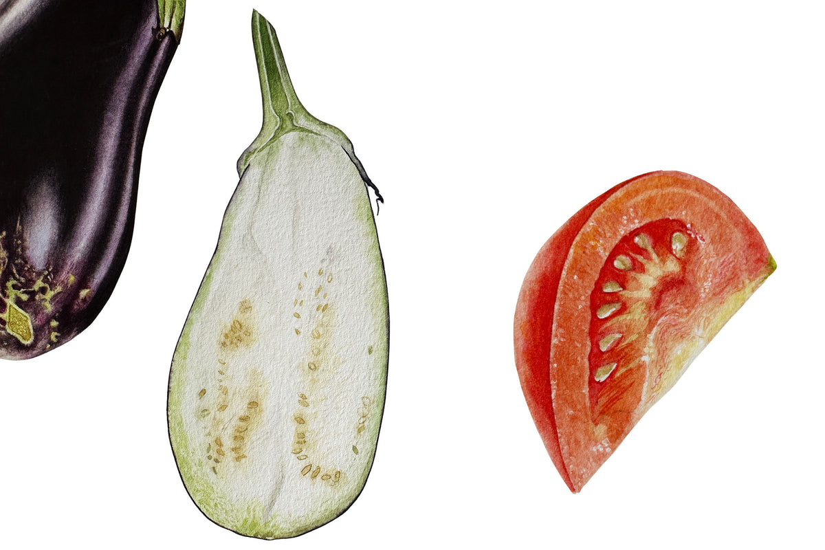 Cross Sections : Aubergine (Eggplant) &amp; Tomato - Preview