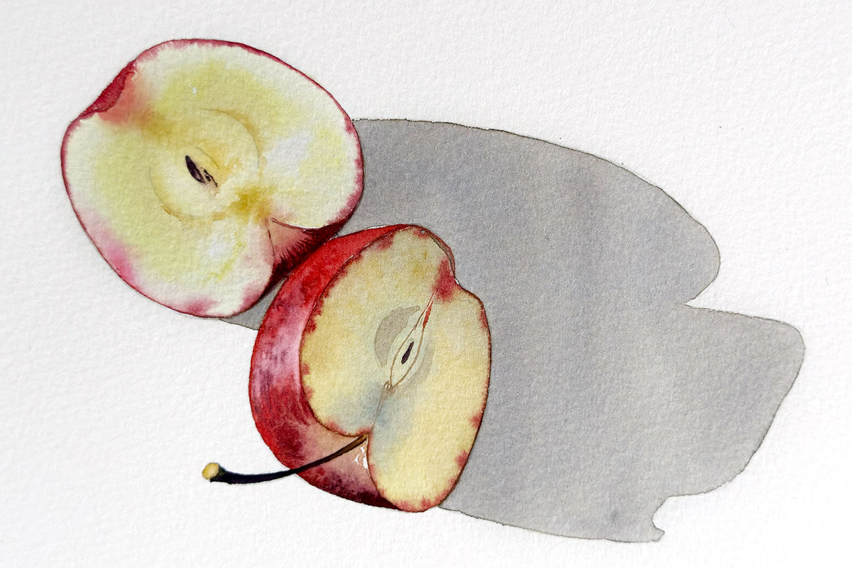 Cut Red Apple
