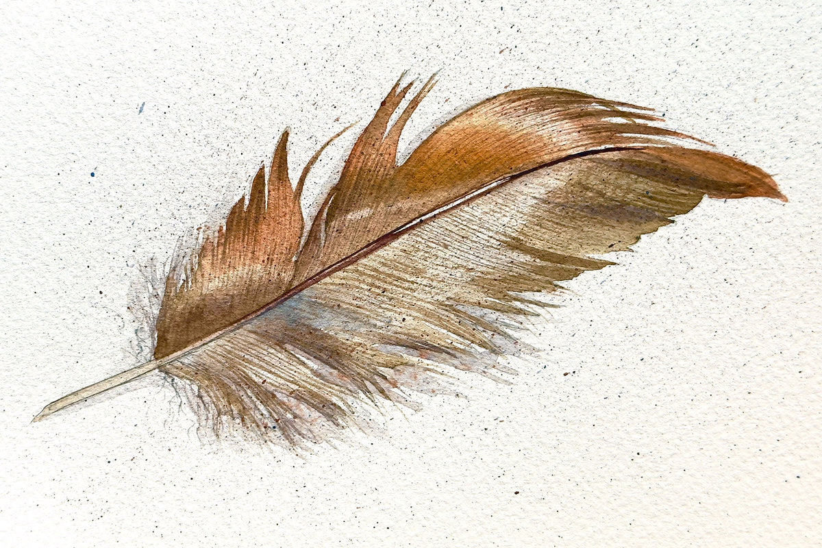 Feather
