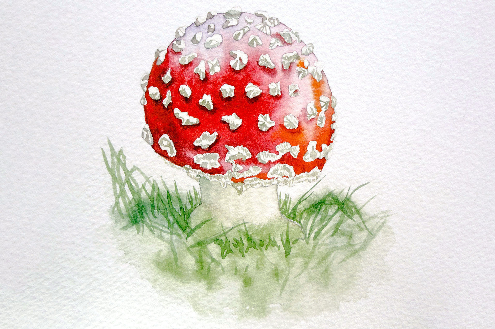Fly Agaric Toadstool