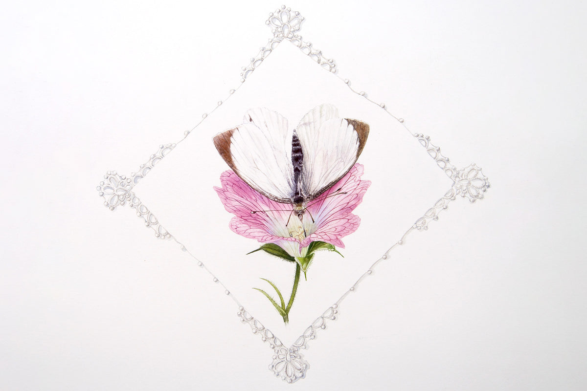 Geranium and Cabbage White Butterfly