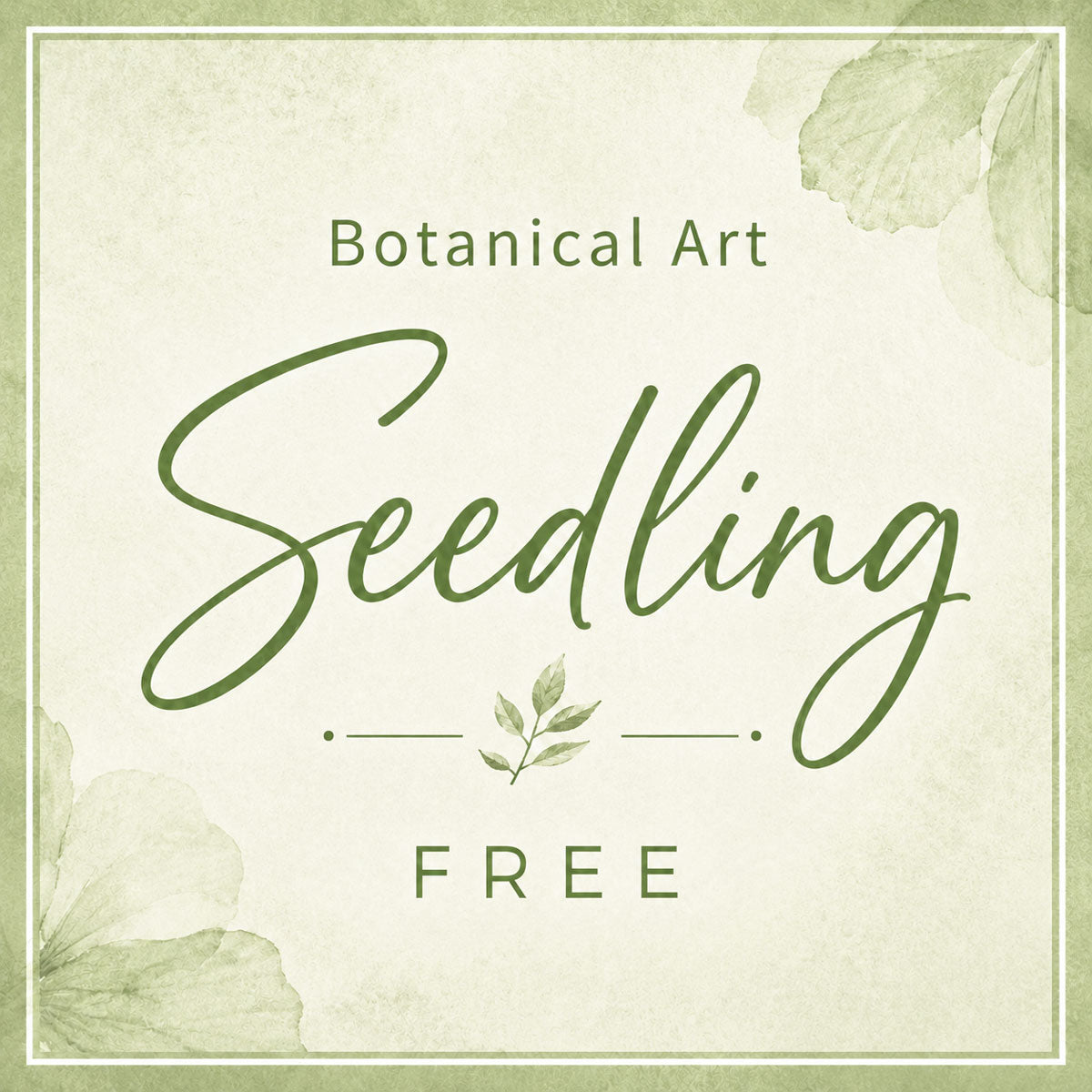 Billy's School of Botanical Art - Seedling - Free Membership