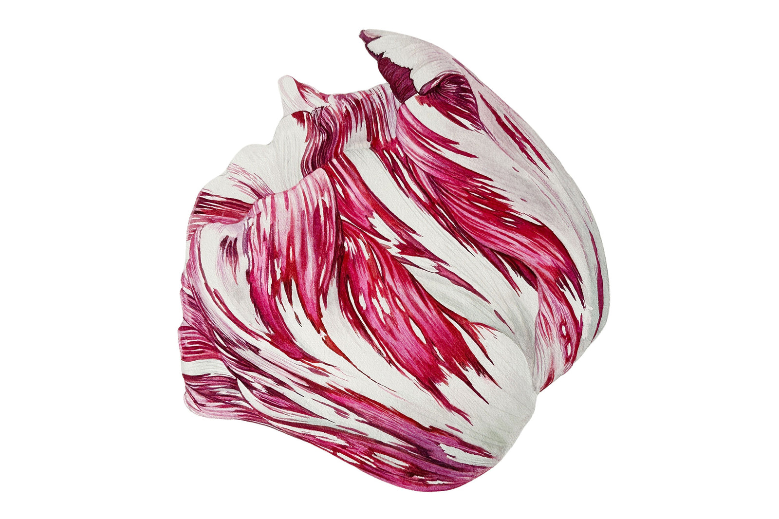 Tulip Circle Part Two