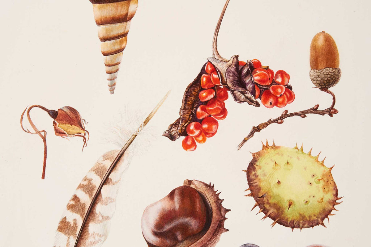 Billy Showell Found - Preview Watercolour Tutorial