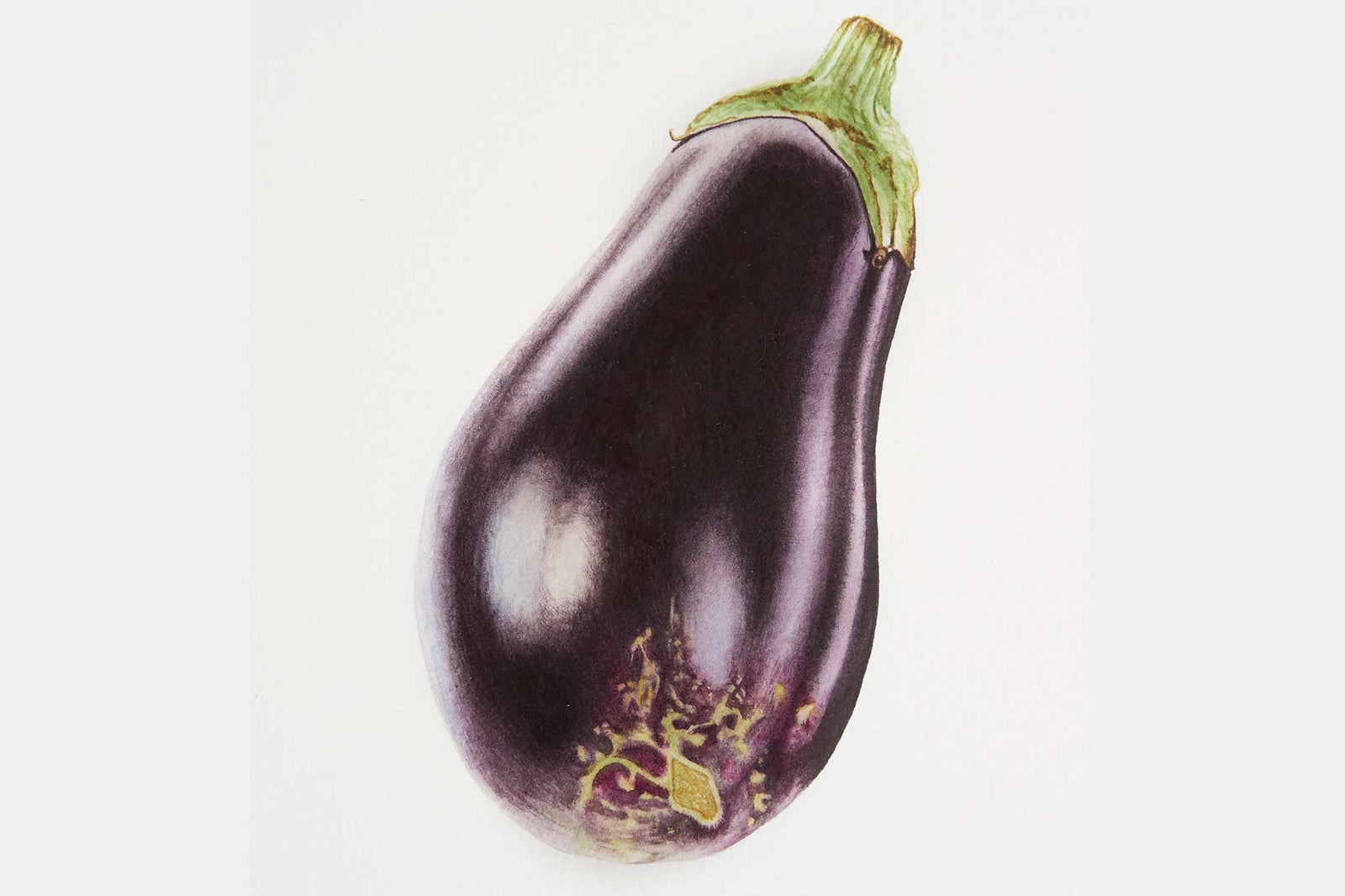Billy Showell Aubergine - Preview Watercolour Tutorial