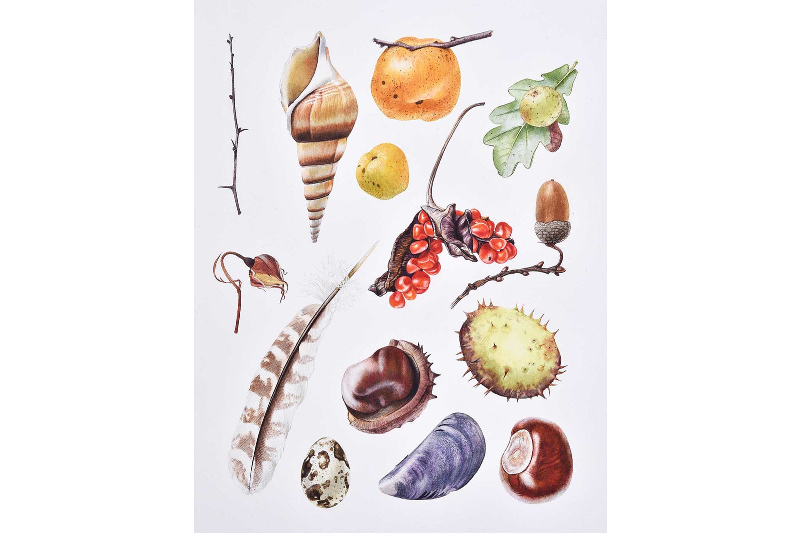 Billy Showell Found Treasures: Autumn Finds - Preview Watercolour Tutorial
