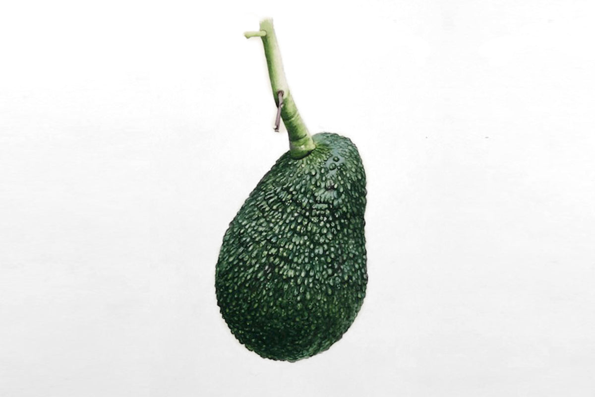 Billy Showell Green Textured Avocado Persea Americana - Preview Watercolour Tutorial