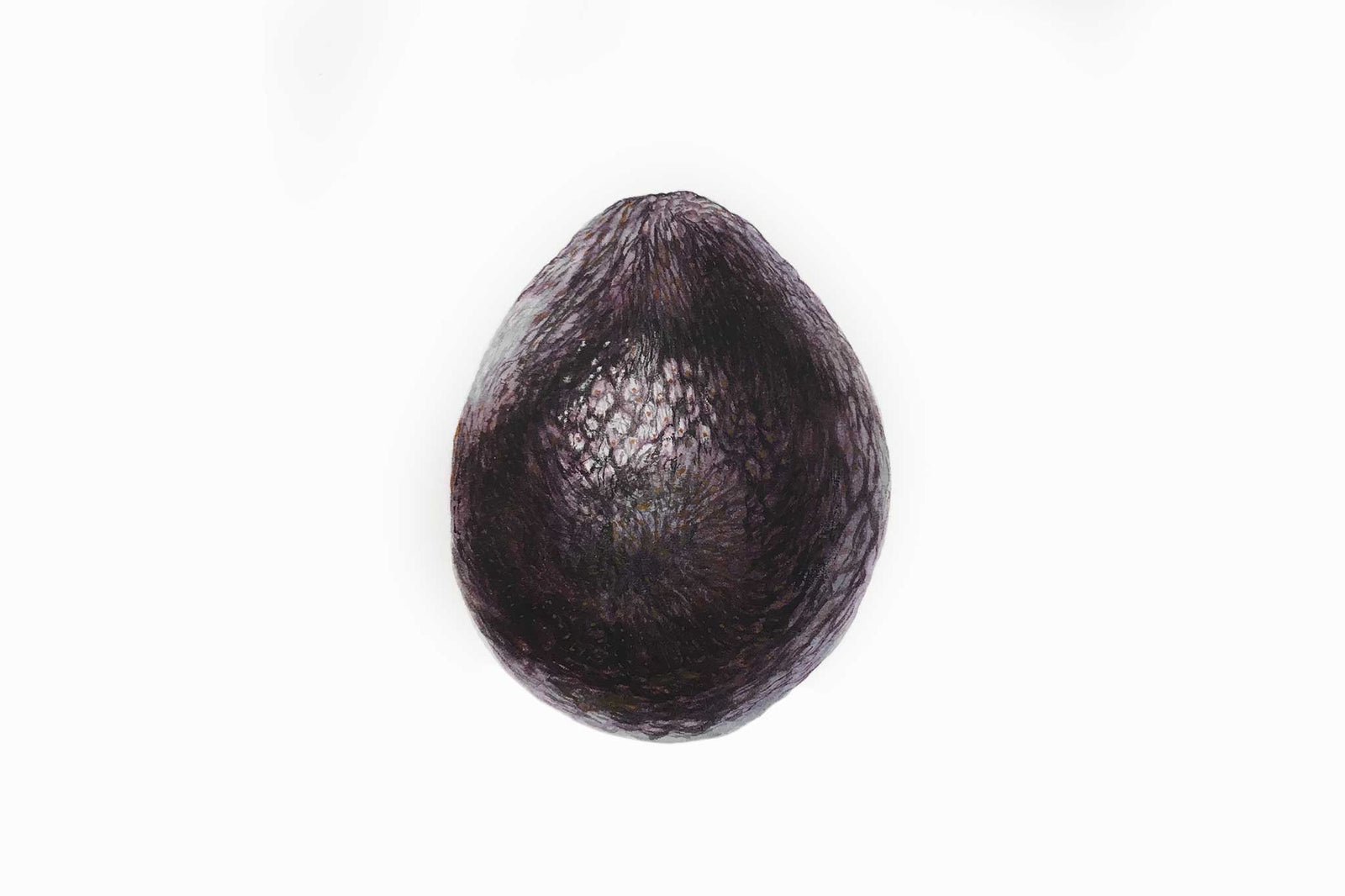Billy Showell Avocado - Preview Watercolour Tutorial