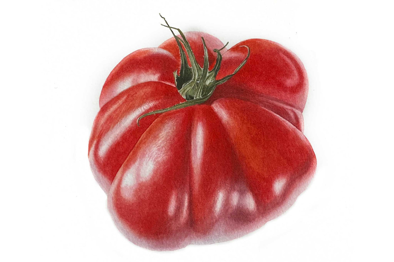 The Beef Tomato Study