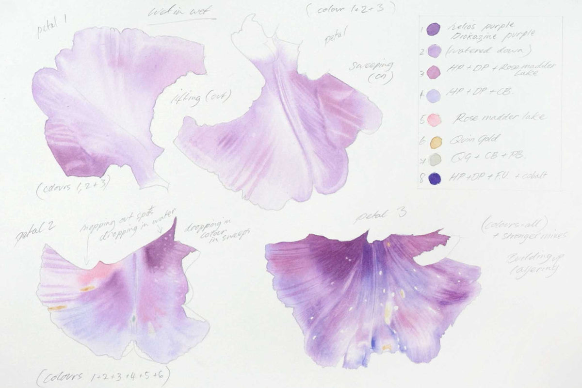 Billy Showell Crazy Purple Petals - Preview Watercolour Tutorial
