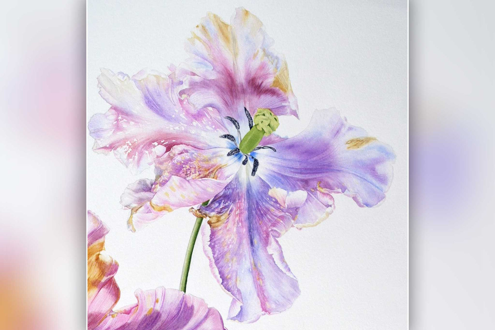 Billy Showell Crazy Purple Tulip - Preview Watercolour Tutorial