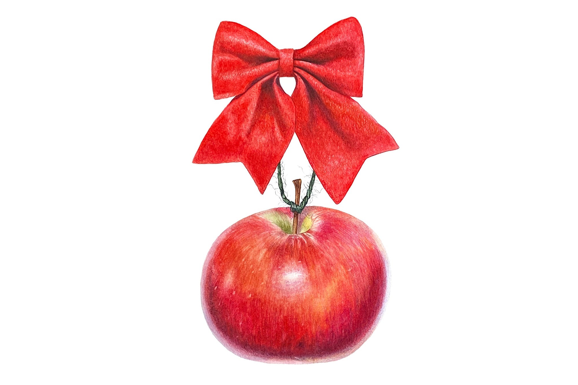 Christmas Apple & Bow