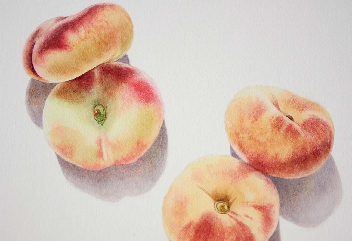 Billy Showell Saturn Peaches aka Donut Peaches: Part 2 - Preview Watercolour Tutorial