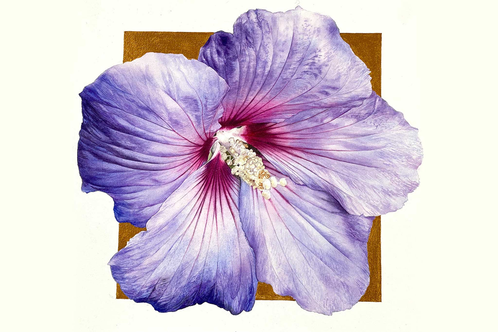 Billy Showell Large Purple Hibiscus - Finishing the Painting - Preview Watercolour Tutorial