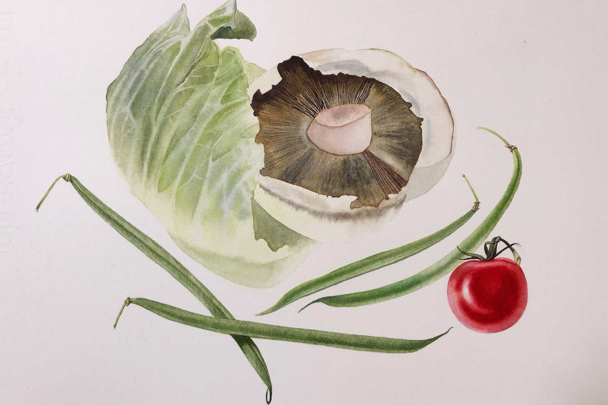 Billy Showell French Green Bean (species Phaseolus vulgaris) - Preview Watercolour Tutorial