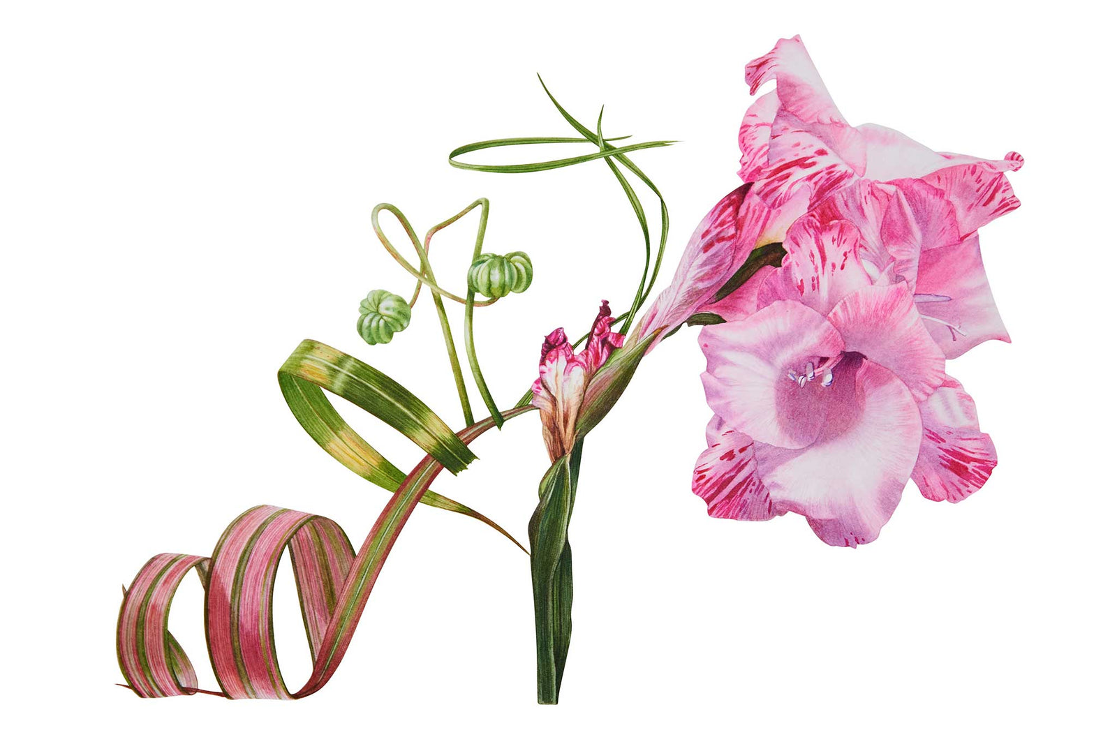 Pink Gladioli Party Shoe - Part 2