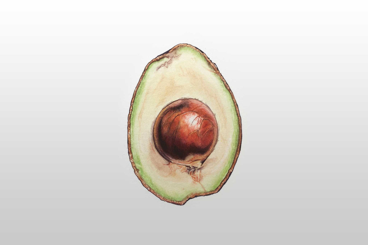Billy Showell Half Avocado - Preview Watercolour Tutorial