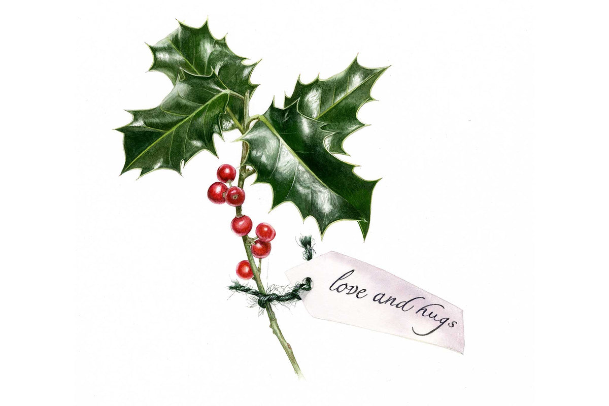 Holly Sprig - Preview