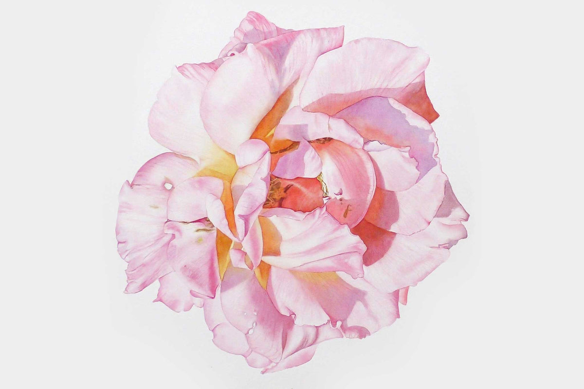 Billy Showell Large Rose - Preview Watercolour Tutorial