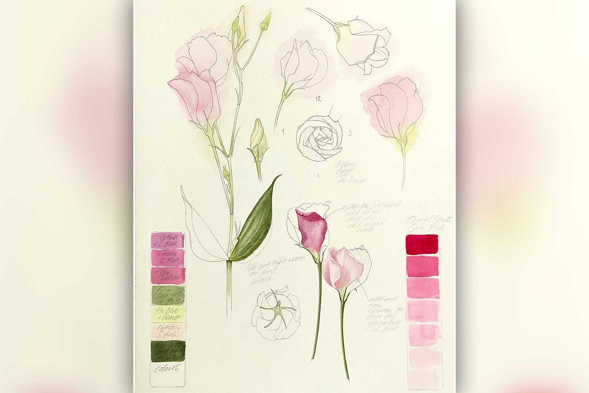Billy Showell Lisianthus - Preview Watercolour Tutorial