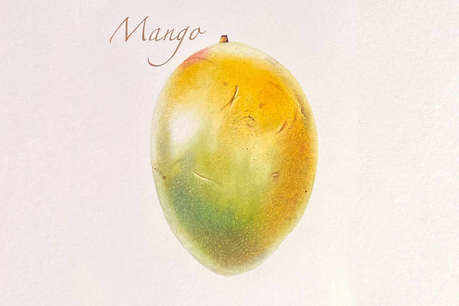 Billy Showell Mango Finishing Project - Preview Watercolour Tutorial