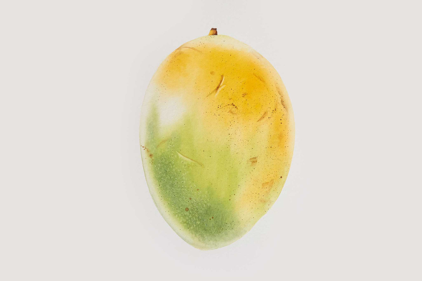Billy Showell Mango - Preview Watercolour Tutorial