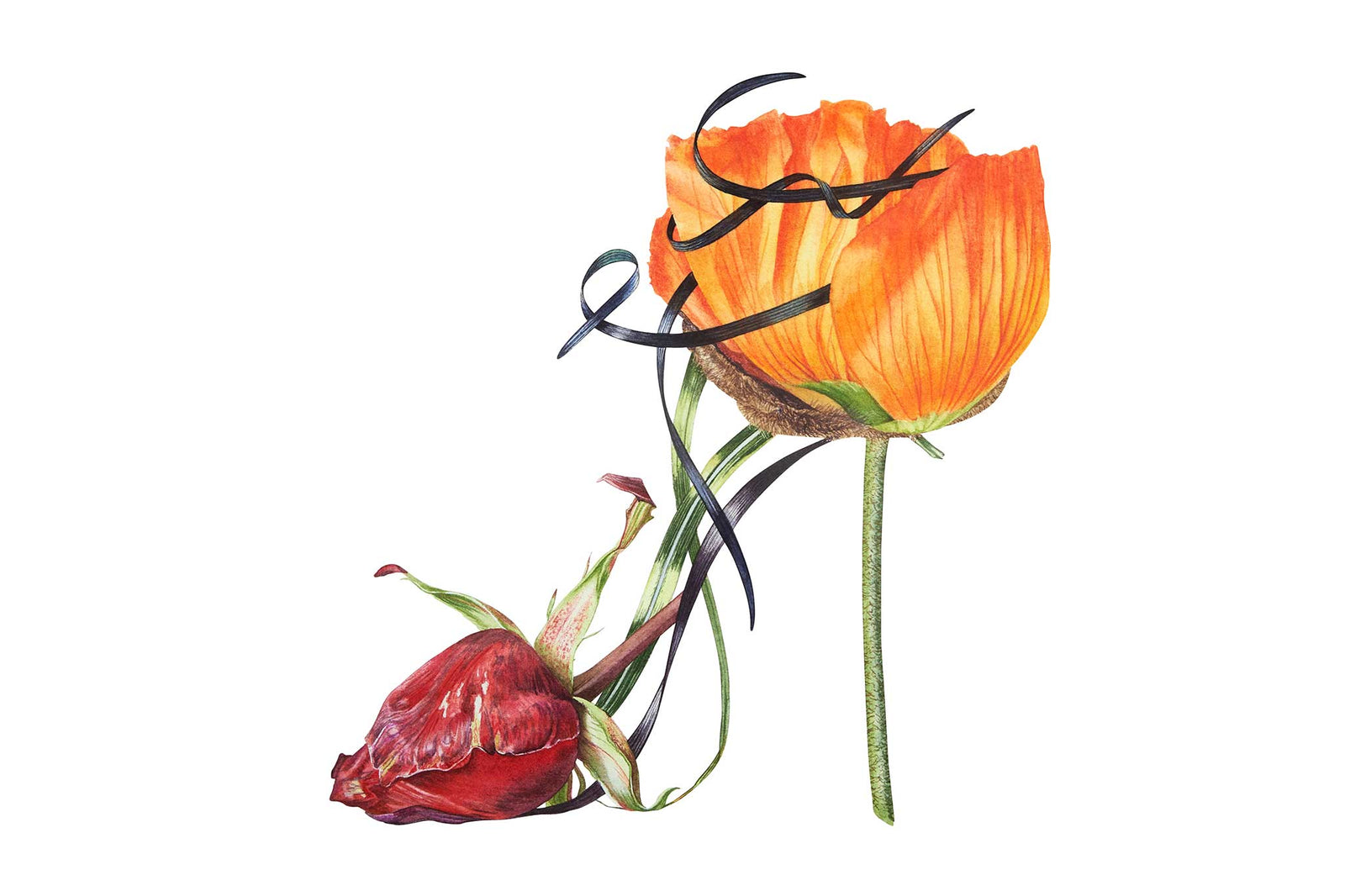 Orange Poppy Shoe Part 3 - Preview