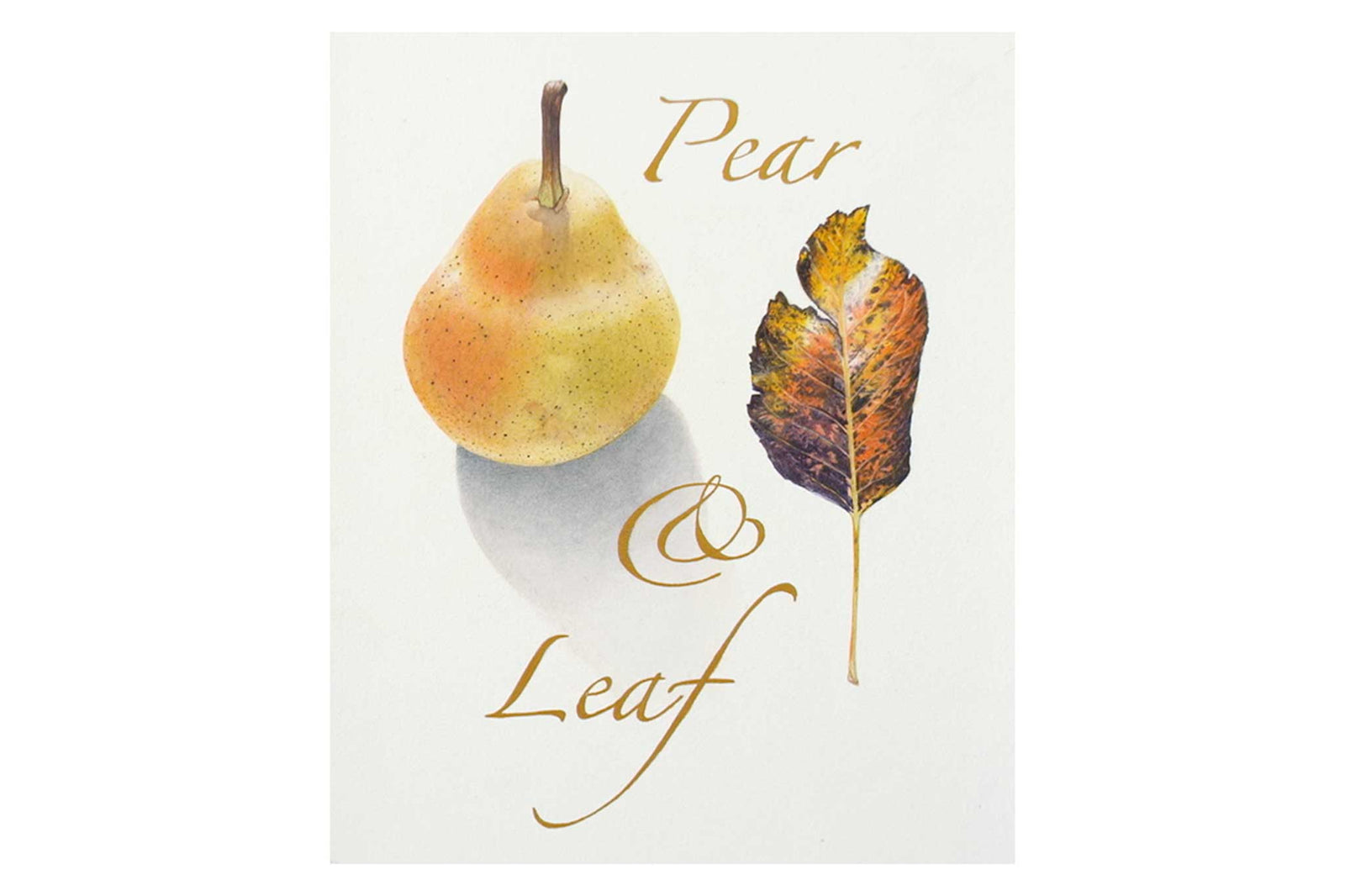 Billy Showell Pear Leaf - Preview Watercolour Tutorial