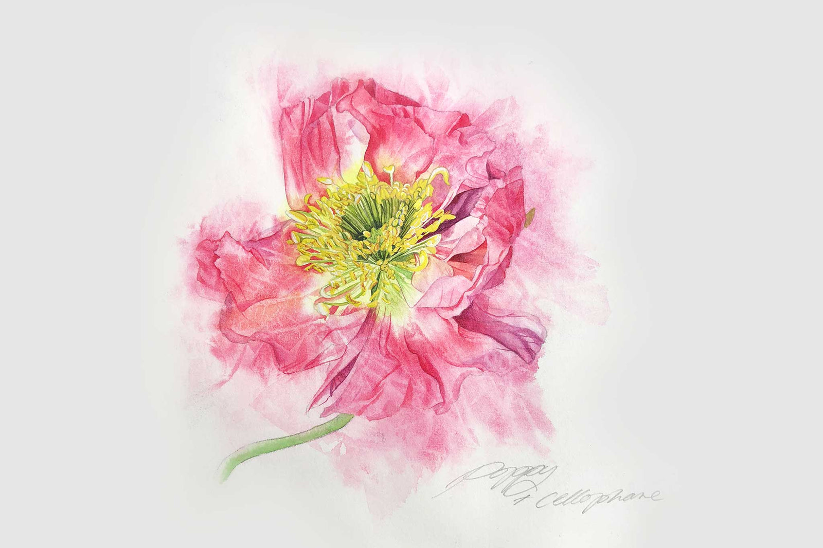 Billy Showell Papaver Nudicaule Poppy Bussana - Preview Watercolour Tutorial