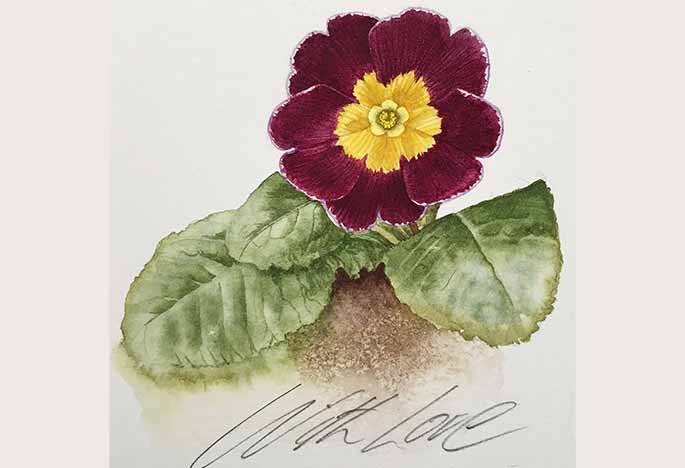 Billy Showell Primula Card - Preview Watercolour Tutorial