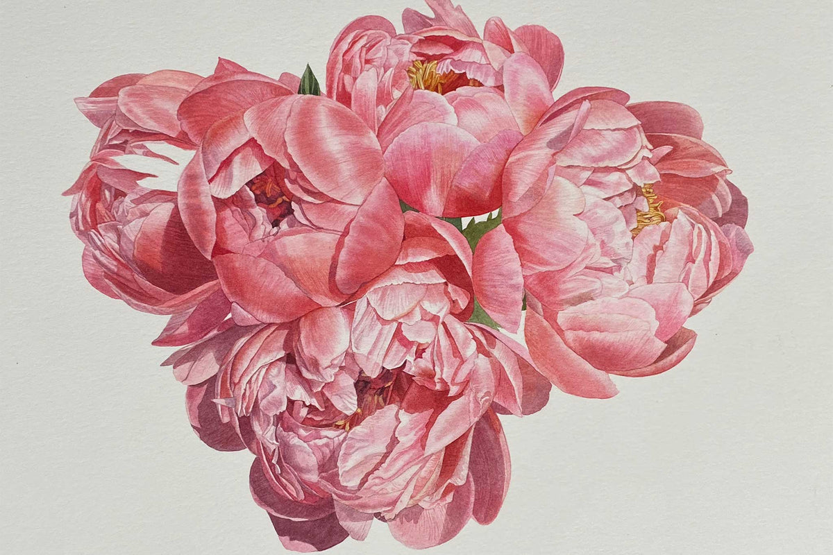 Billy Showell Peach Peony - Preview Watercolour Tutorial