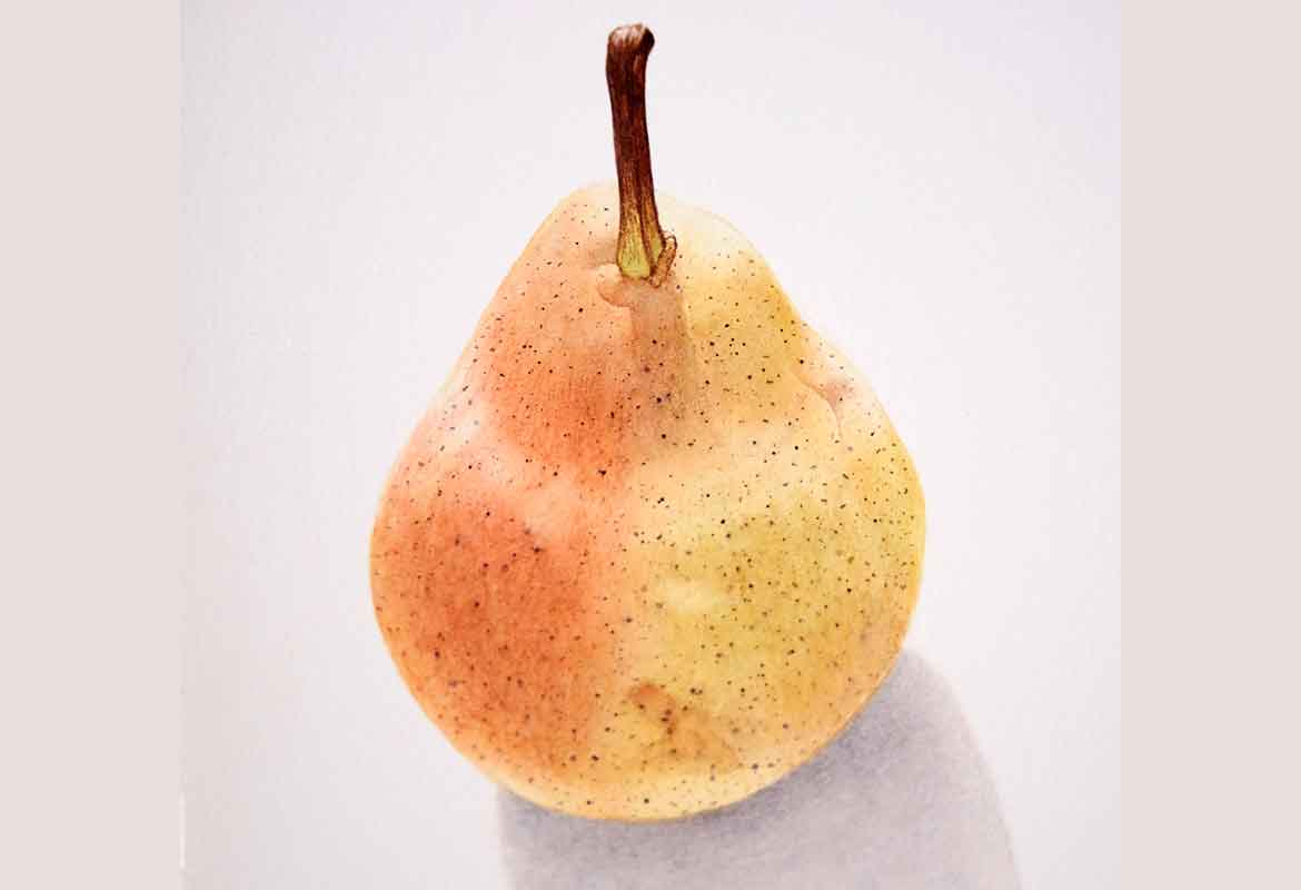 Billy Showell Williams Pear Part 2 - Preview Watercolour Tutorial