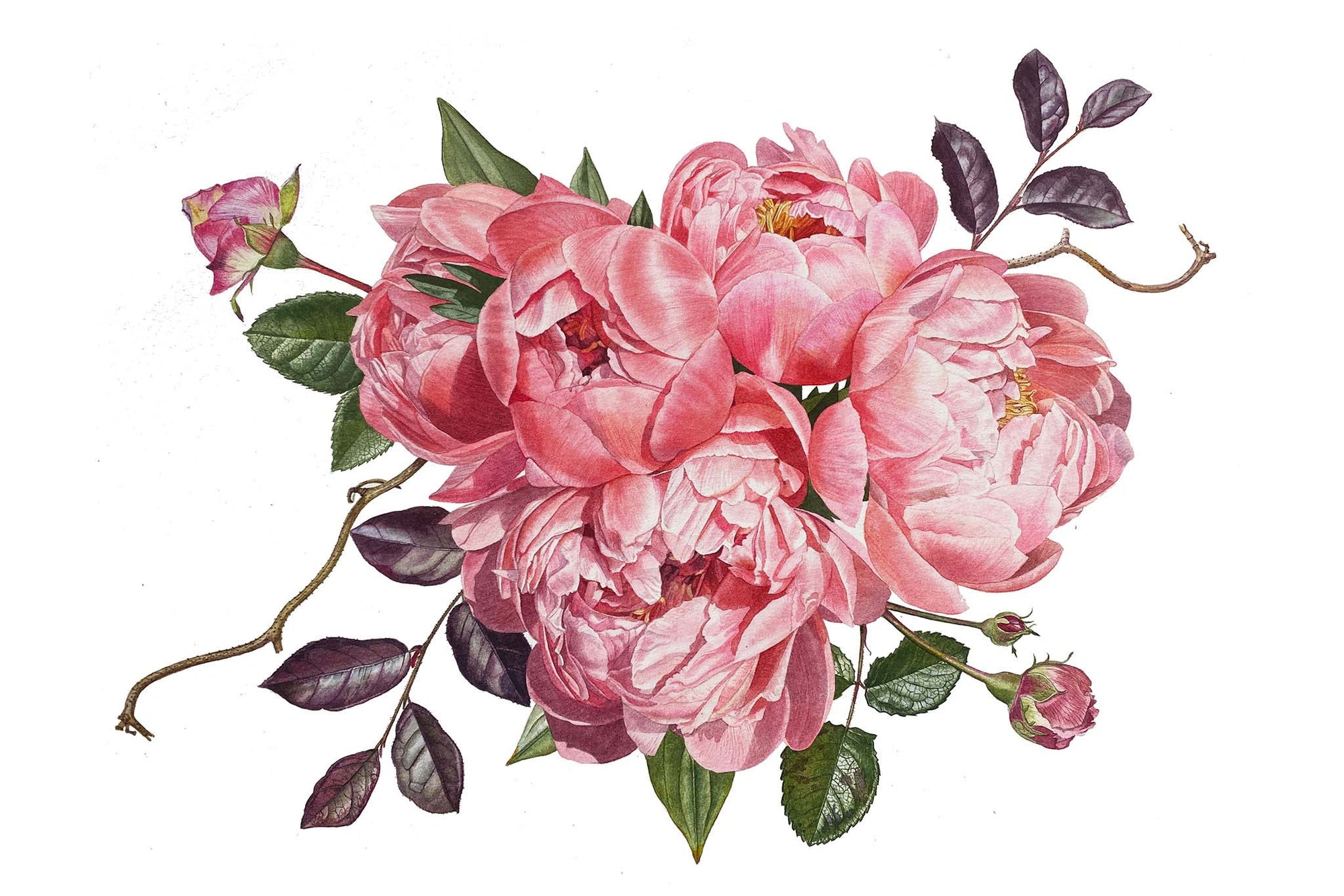 Pink Peony Part 3 - Preview