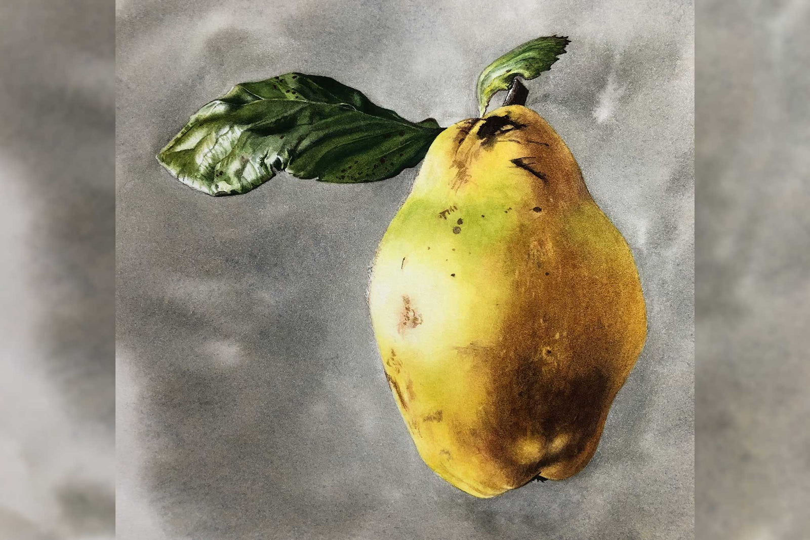 Billy Showell Golden Quince - Preview Watercolour Tutorial