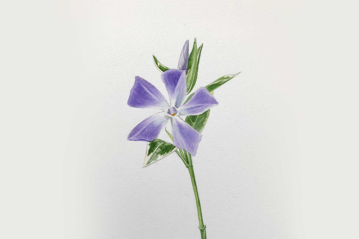 Billy Showell Spring Bouquet Part 1 - Preview Watercolour Tutorial