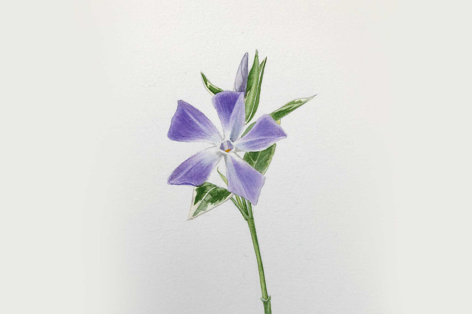 Billy Showell Spring Bouquet Part 1 - Preview Watercolour Tutorial