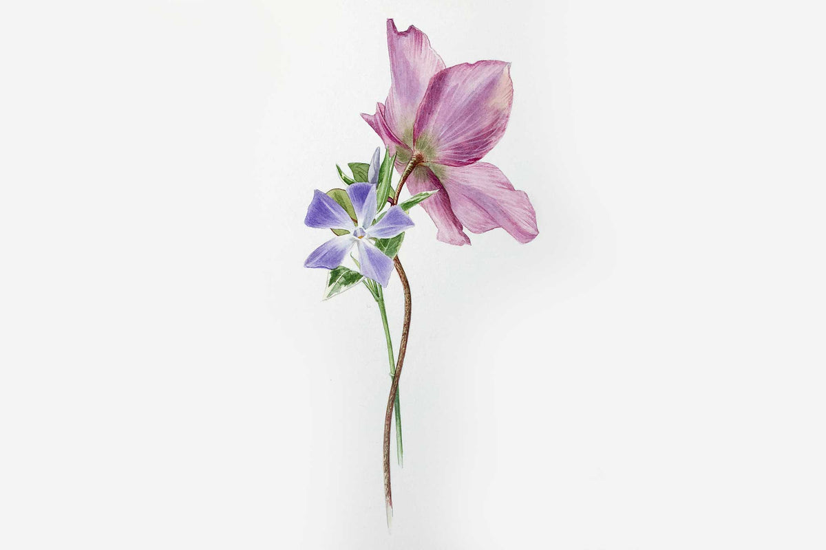 Billy Showell Spring Bouquet Part 2 - Preview Watercolour Tutorial