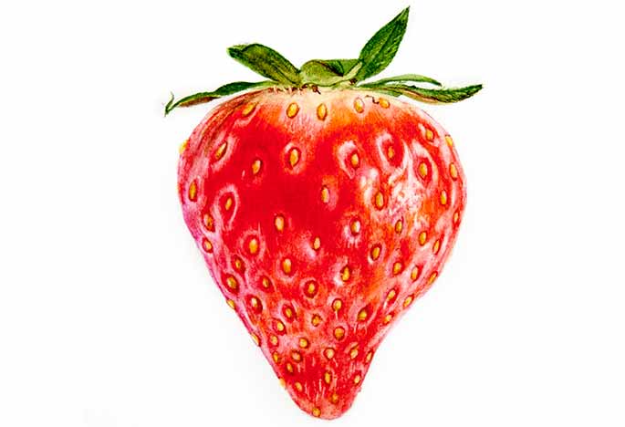 Billy Showell Strawberry - Preview Watercolour Tutorial