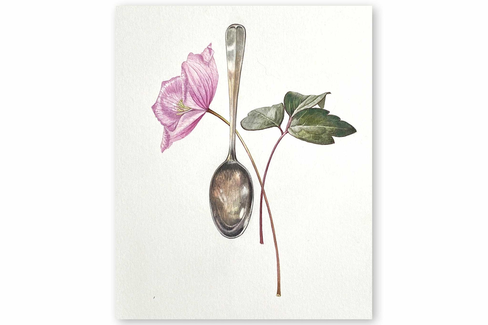 Billy Showell Silver Spoon & Clematis - Preview Watercolour Tutorial