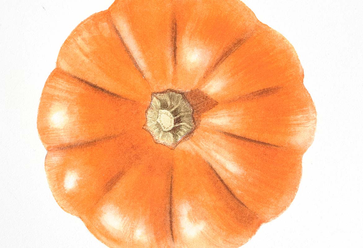 Billy Showell Squash - Preview Watercolour Tutorial
