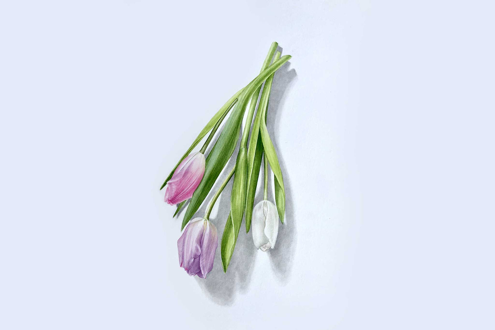 Billy Showell Three Tulips: Part 2 Leaves - Preview Watercolour Tutorial