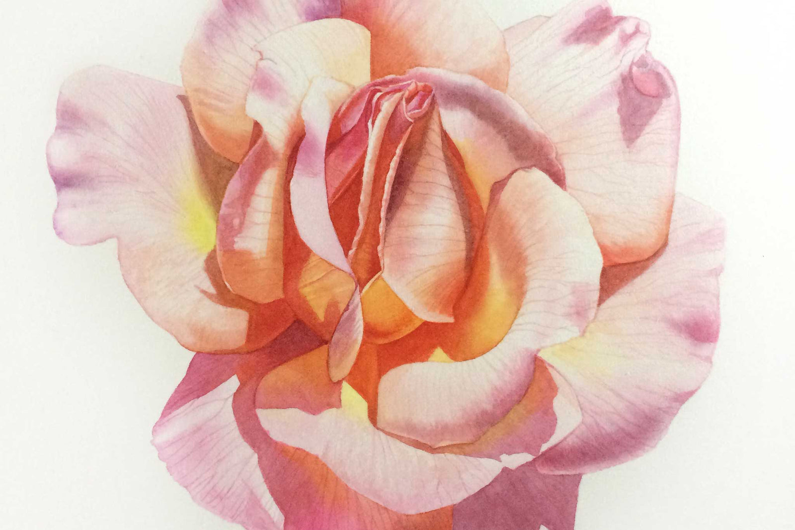 Billy Showell Rose - Preview Watercolour Tutorial